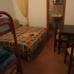 Large Triple Room For Max 3 People